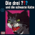 DDF - 004 - Die Schwarze Katze - cover