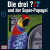 DDF - 01 - Der Superpapagei- cover